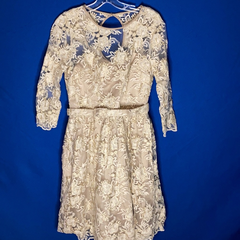 Bridal Shower/Wedding Dress